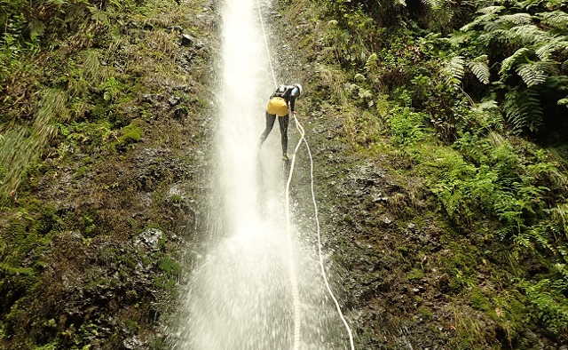 Schlucht in Madeira